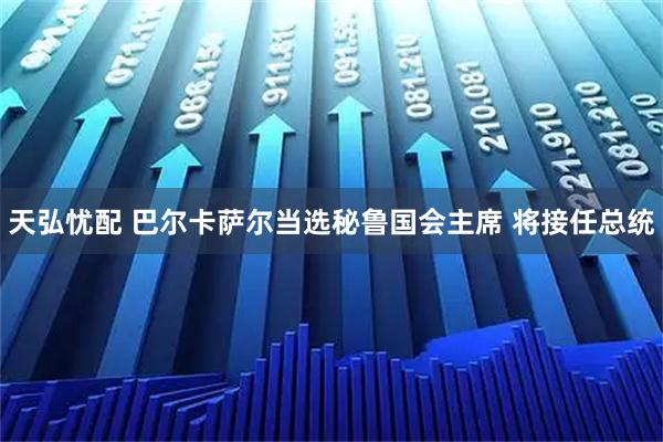 天弘忧配 巴尔卡萨尔当选秘鲁国会主席 将接任总统