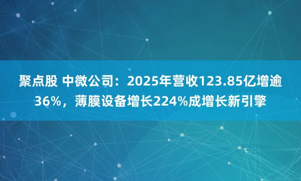 聚点股 中微公司：2025年营收123.85亿增逾36%，薄膜设备增长224%成增长新引擎