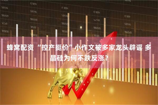 蜂窝配资 “控产挺价”小作文被多家龙头辟谣 多晶硅为何不跌反涨？