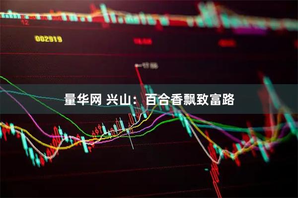 量华网 兴山：百合香飘致富路