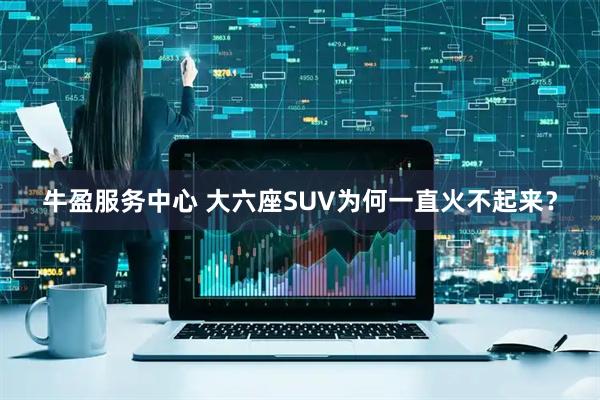 牛盈服务中心 大六座SUV为何一直火不起来?
