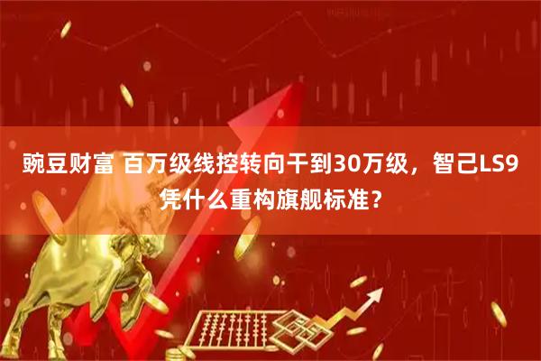 豌豆财富 百万级线控转向干到30万级,智己LS9凭什么重构旗舰标准?