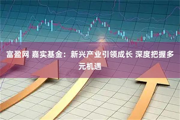 富盈网 嘉实基金：新兴产业引领成长 深度把握多元机遇