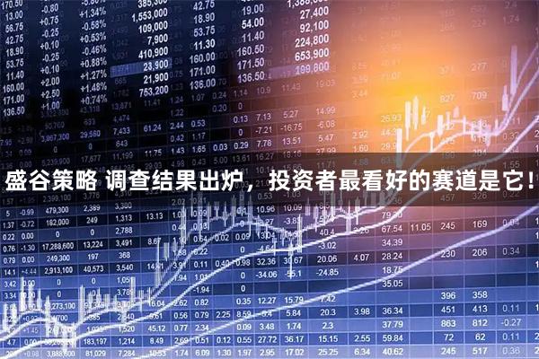 盛谷策略 调查结果出炉，投资者最看好的赛道是它！