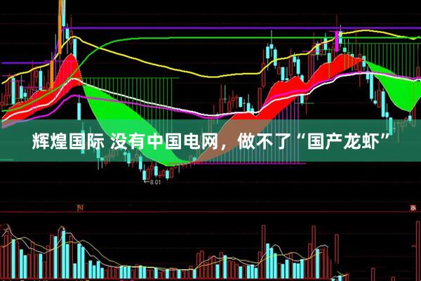 辉煌国际 没有中国电网，做不了“国产龙虾”