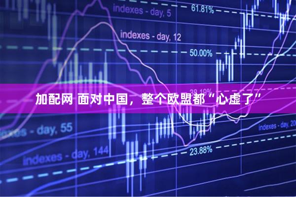加配网 面对中国，整个欧盟都“心虚了”