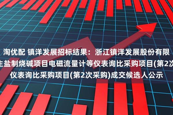 淘优配 镇洋发展招标结果：浙江镇洋发展股份有限公司年处理10万吨再生盐制烧碱项目电磁流量计等仪表询比采购项目(第2次采购)成交候选人公示