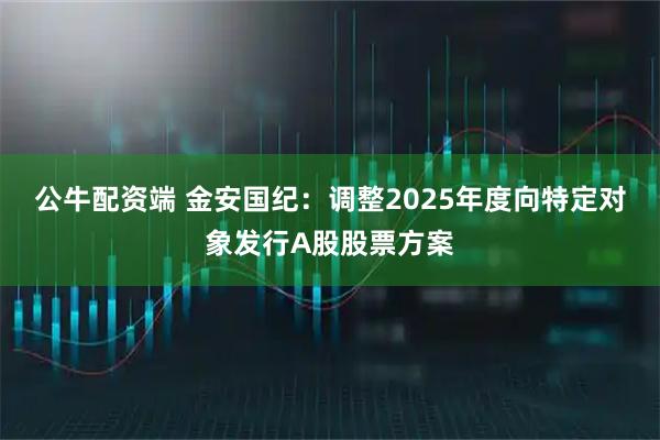 公牛配资端 金安国纪：调整2025年度向特定对象发行A股股票方案