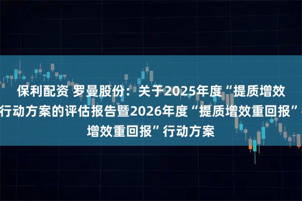 保利配资 罗曼股份：关于2025年度“提质增效重回报”行动方案的评估报告暨2026年度“提质增效重回报”行动方案