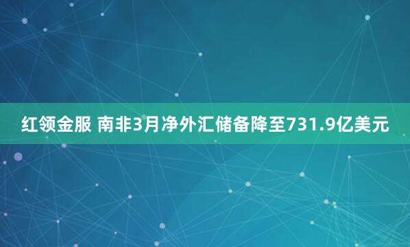 红领金服 南非3月净外汇储备降至731.9亿美元