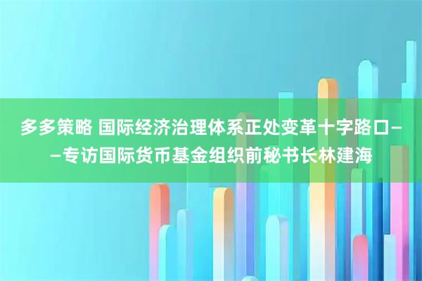 多多策略 国际经济治理体系正处变革十字路口——专访国际货币基金组织前秘书长林建海