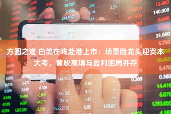 方圆之道 白鸽在线赴港上市：场景险龙头迎资本大考，营收高增与盈利困局并存