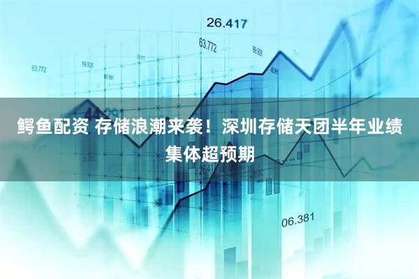 鳄鱼配资 存储浪潮来袭!深圳存储天团半年业绩集体超预期
