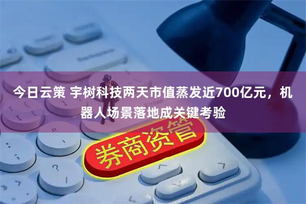 今日云策 宇树科技两天市值蒸发近700亿元，机器人场景落地成关键考验